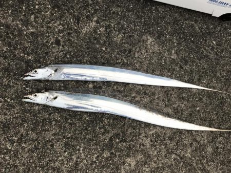 サイズが伸びない