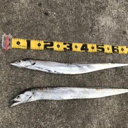 熱くなってきた