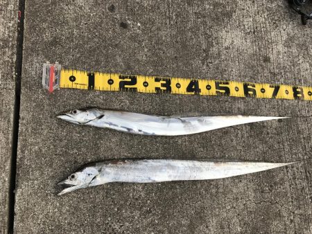 熱くなってきた