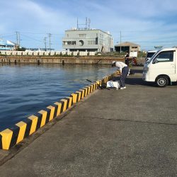 豆アジ、コアジ68匹、 コサバ8匹