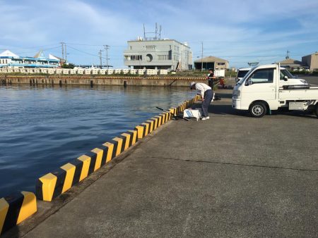 豆アジ、コアジ68匹、 コサバ8匹