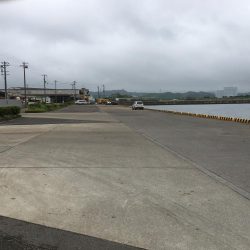 コアジ43匹、ガシラ7匹、コッパグレ1匹、コサバ4匹、外道大型フグ