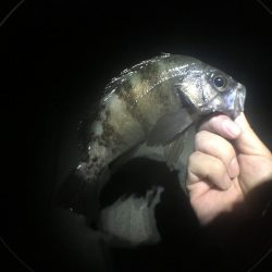 いよいよ最終ラウンド突入ですね。