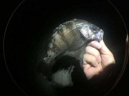 いよいよ最終ラウンド突入ですね。