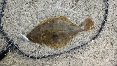 奥の手ショアスロー