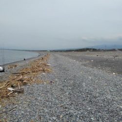 青物はいずこへ(>_<)