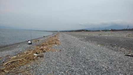 青物はいずこへ(>_<)