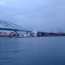 鯵狙いで行ったのですが^^;