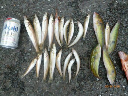 レンタル手漕ぎボートでのキス釣り