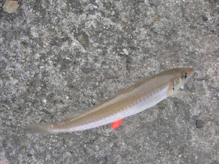 波止は風が強い