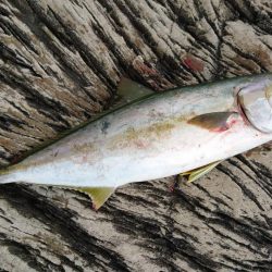 やっと結果が出た