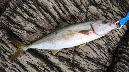 やっと結果が出た