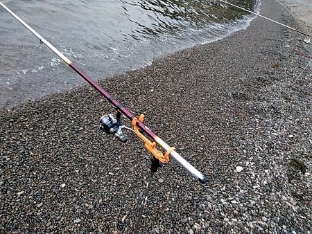 また、凧が釣れました!!