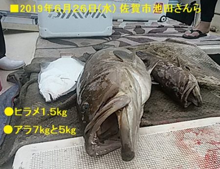 大物釣果速報！●光義丸：平戸市早福港