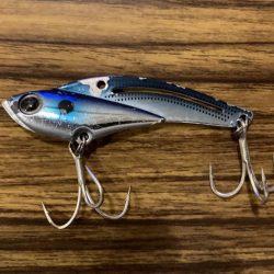 コスモスクエアでブリ