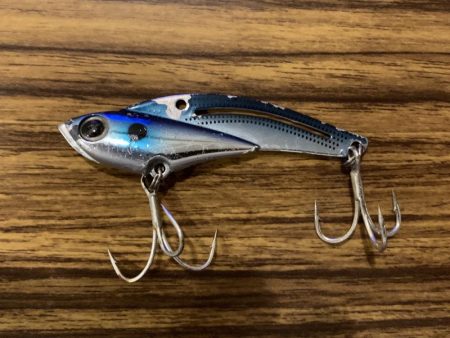 コスモスクエアでブリ