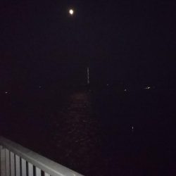 大サバほろ苦デビュー