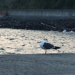 キロアップを求めて。