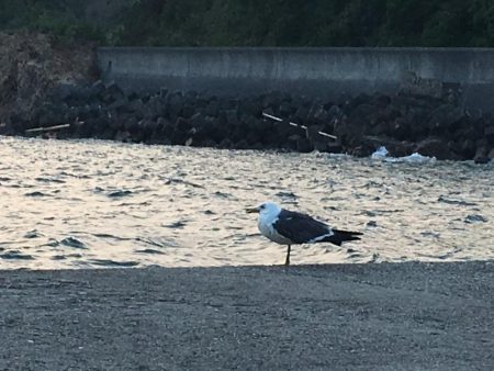 キロアップを求めて。