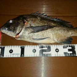 何か釣れるといいなぁって感じで4種目