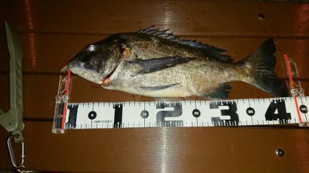 何か釣れるといいなぁって感じで4種目