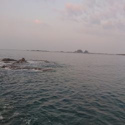 また秋イカが釣れたけどまあいーか