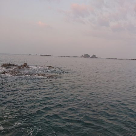 また秋イカが釣れたけどまあいーか