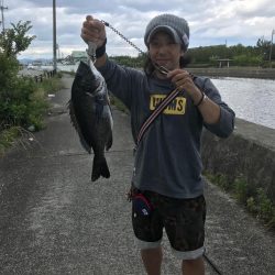 50チヌ4匹、釣れすぎ！腕いたい(笑)