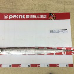 強風追い風のライトショアジギング