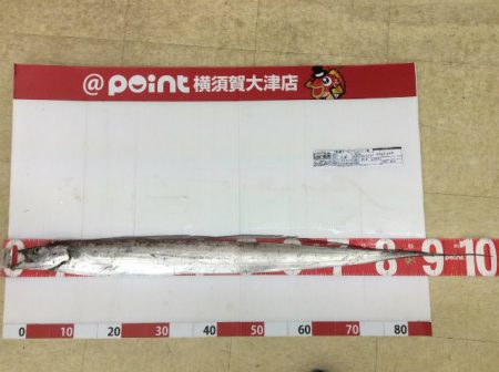 強風追い風のライトショアジギング