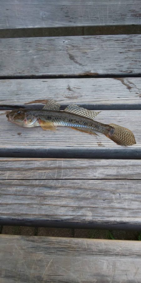 潮見さざなみ公園