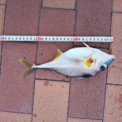 3目達成　~辰巳橋付近~