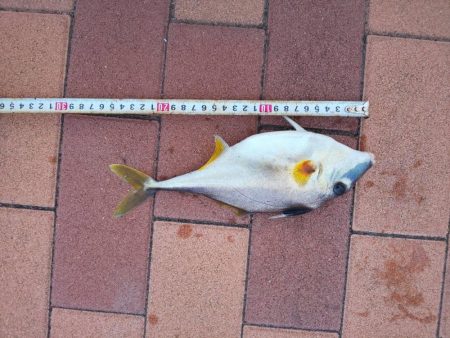 3目達成　~辰巳橋付近~