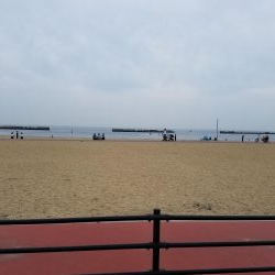 ファミリー豆アジ爆釣り