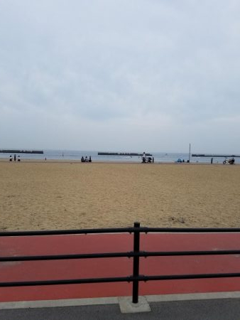 ファミリー豆アジ爆釣り