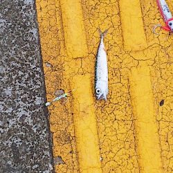 また逢う日まで～