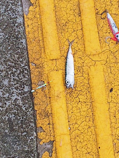 また逢う日まで～