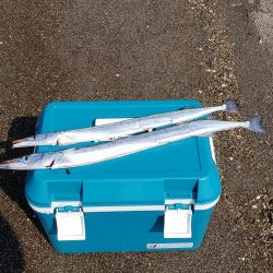 初ウェーディング