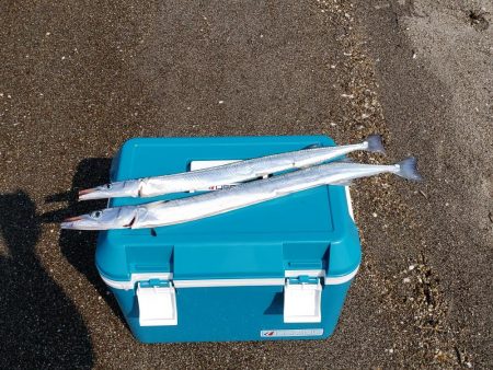 初ウェーディング