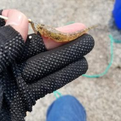 ミニミニだらけ！