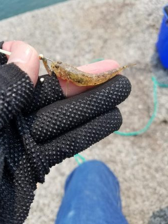 ミニミニだらけ！