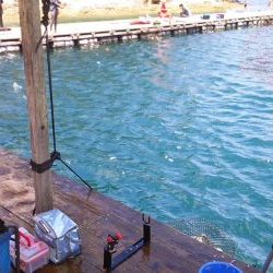 海洋釣堀で大ヒラマサ狙うも、ファミリーフィッシング