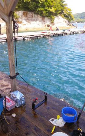 海洋釣堀で大ヒラマサ狙うも、ファミリーフィッシング