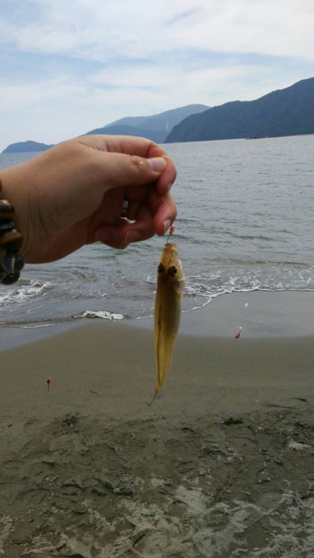 キス釣り釣行　由良川河口（左岸）