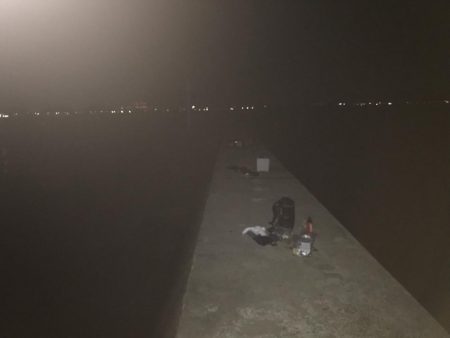 今年初の太刀魚