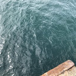 舞子  夜サバボウズ