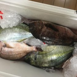 釣り堀岬へ!