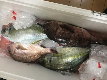 釣り堀岬へ!