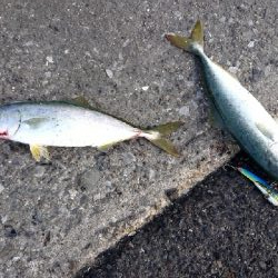 やっと釣れたぁ！