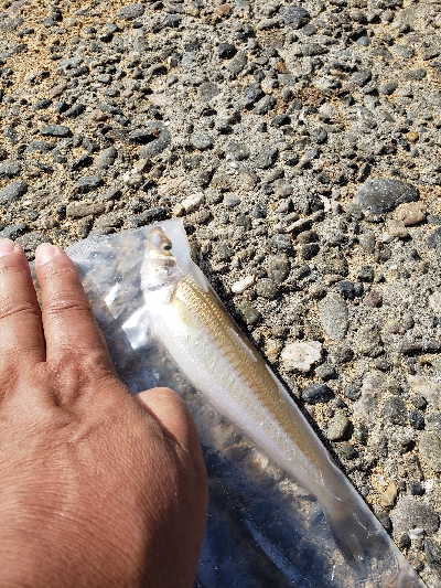 キス狙いです。